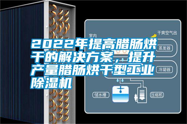 2022年提高臘腸烘干的解決方案,提升產量臘腸烘干型工業除濕機