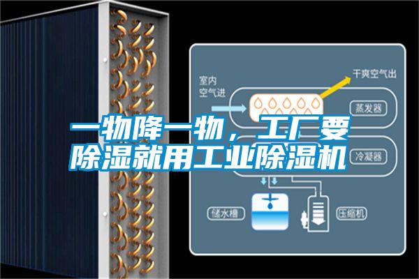 一物降一物,工廠要除濕就用工業(yè)除濕機(jī)