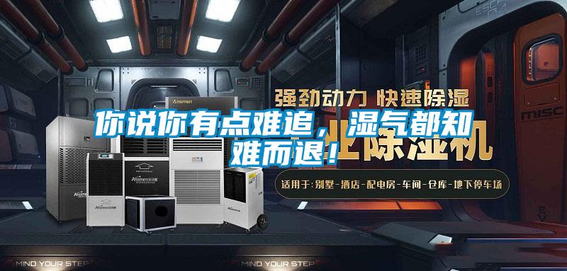 你說你有點難追,濕氣都知難而退!