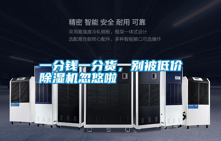 一分錢(qián)一分貨,別被低價(jià)除濕機(jī)忽悠啦