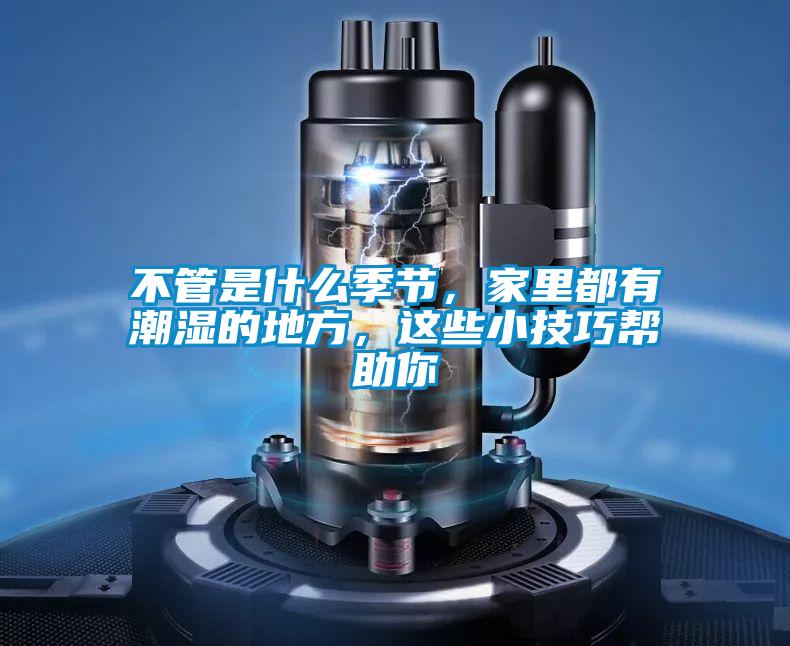 不管是什么季節，家里都有潮濕的地方，這些小技巧幫助你