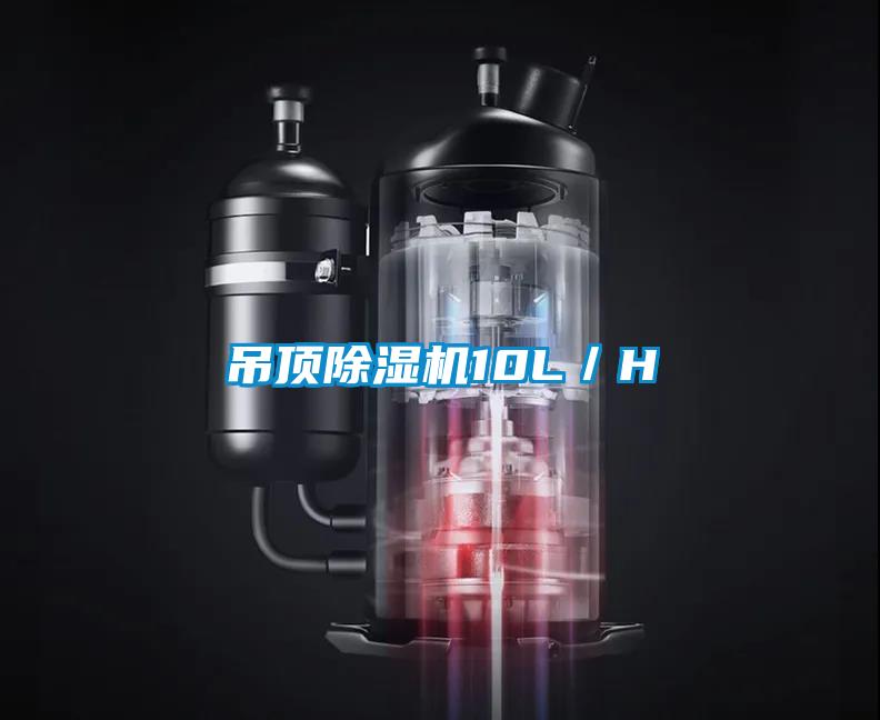 吊頂除濕機(jī)10L/H