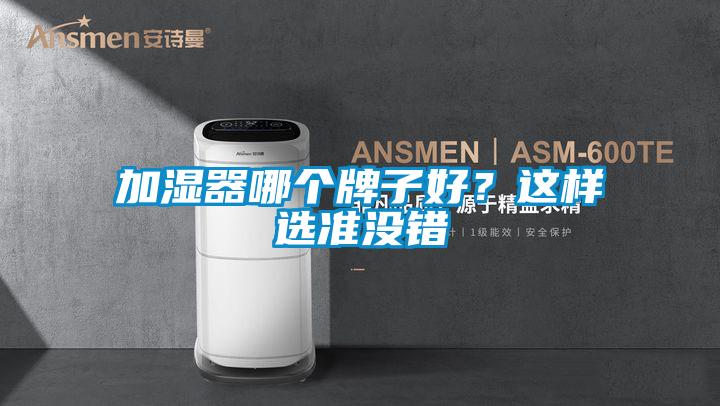 加濕器哪個牌子好？這樣選準沒錯