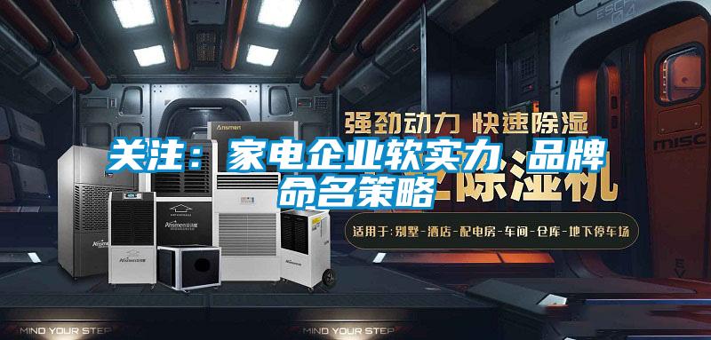 關(guān)注:家電企業(yè)軟實力 品牌命名策略