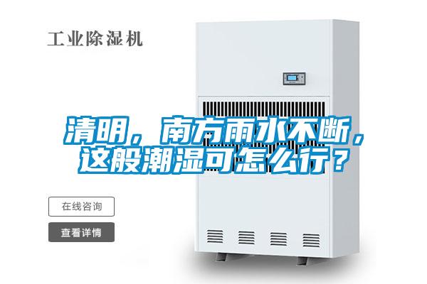 清明,南方雨水不斷,這般潮濕可怎么行?