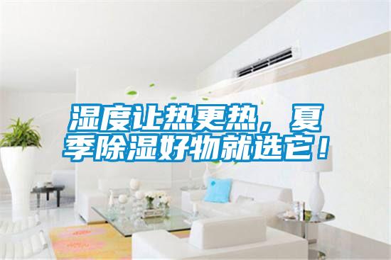 濕度讓熱更熱,夏季除濕好物就選它!