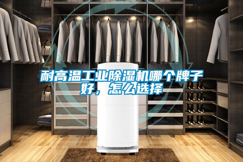 耐高溫工業除濕機哪個牌子好,怎么選擇