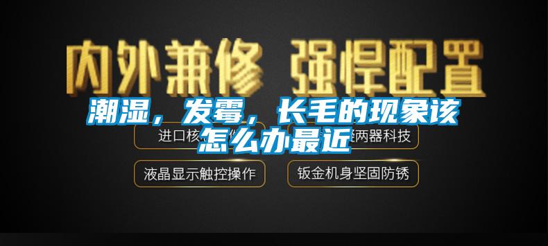 潮濕,發霉,長毛的現象該怎么辦最近
