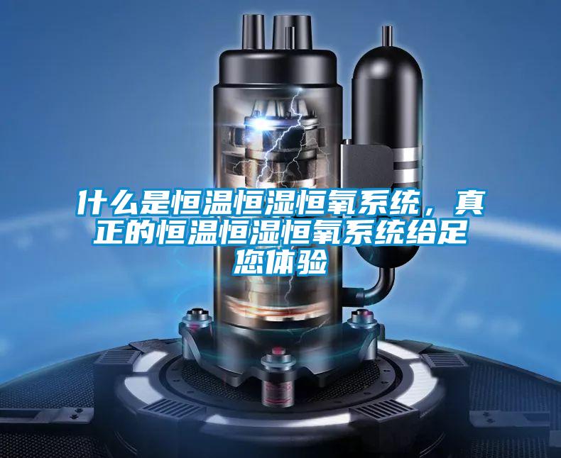 什么是恒溫恒濕恒氧系統，真正的恒溫恒濕恒氧系統給足您體驗