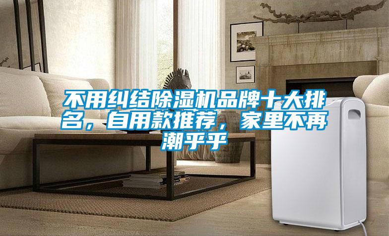 不用糾結(jié)除濕機品牌十大排名，自用款推薦，家里不再潮乎乎