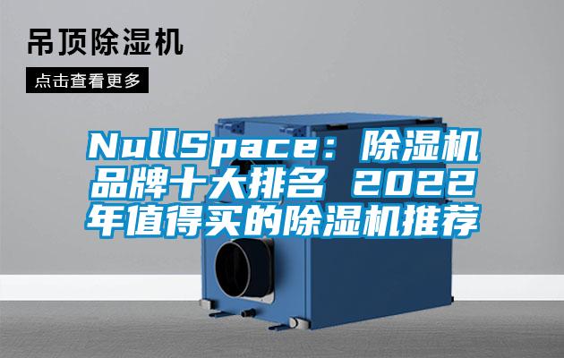 NullSpace:除濕機(jī)品牌十大排名 2022年值得買的除濕機(jī)推薦