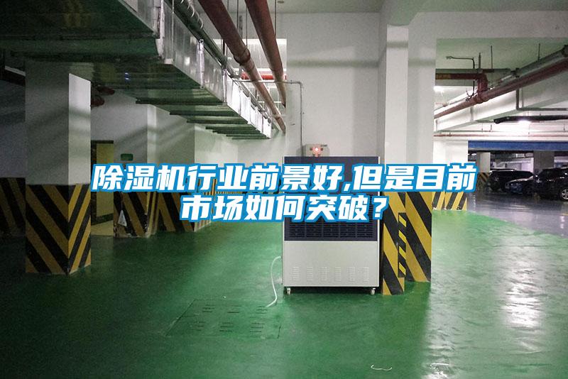 除濕機行業(yè)前景好,但是目前市場如何突破?