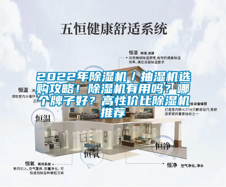2022年除濕機／抽濕機選購攻略！除濕機有用嗎？哪個牌子好？高性價比除濕機推薦