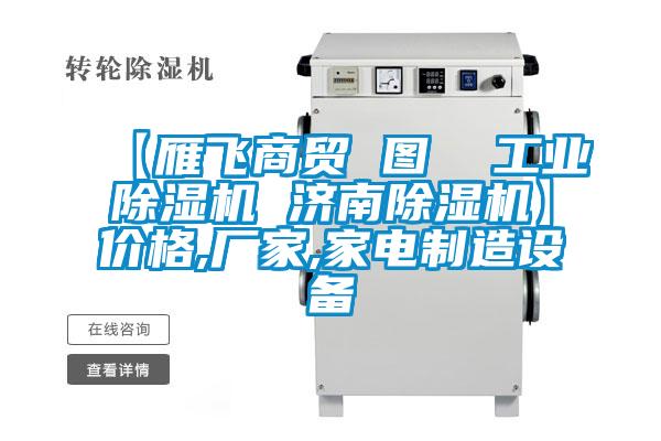 【雁飛商貿(mào) 圖 工業(yè)除濕機 濟南除濕機】價格,廠家,家電制造設(shè)備
