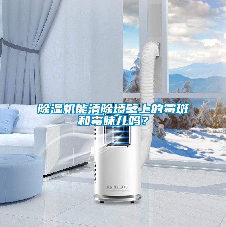 除濕機(jī)能清除墻壁上的霉斑和霉味兒嗎?