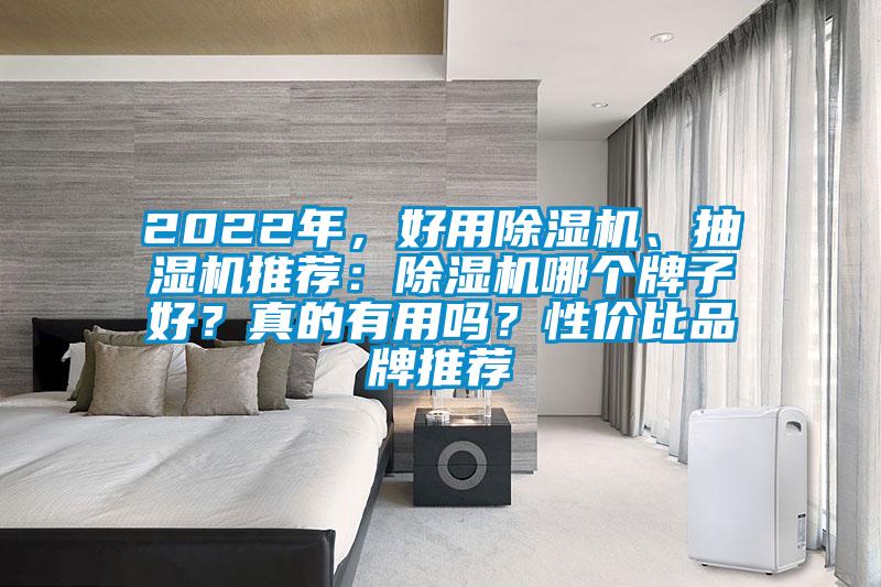 2022年，好用除濕機、抽濕機推薦：除濕機哪個牌子好？真的有用嗎？性價比品牌推薦