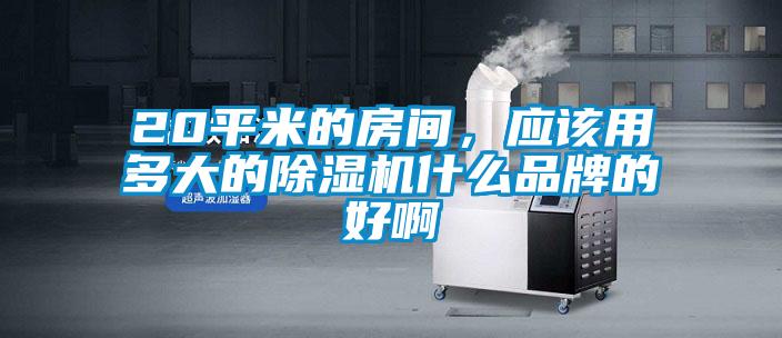 20平米的房間，應該用多大的除濕機什么品牌的好啊
