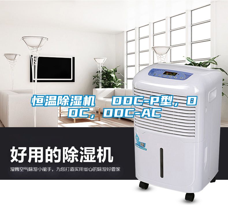 恒溫除濕機(jī) DDC-P型,DDC,DDC-AC