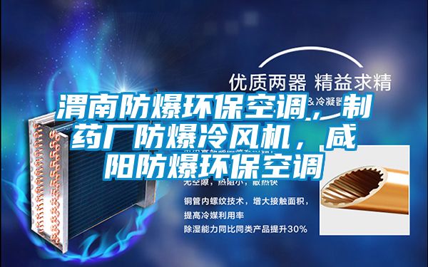 渭南防爆環?？照{，制藥廠防爆冷風機，咸陽防爆環?？照{