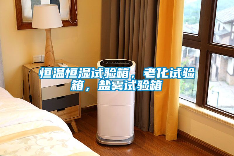 恒溫恒濕試驗箱，老化試驗箱，鹽霧試驗箱