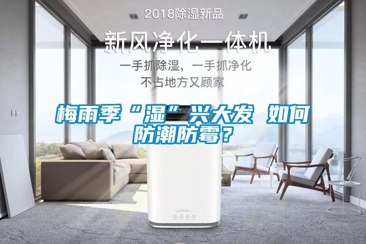 梅雨季“濕”興大發 如何防潮防霉？