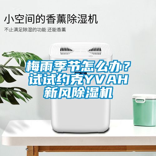 梅雨季節怎么辦?試試約克YVAH新風除濕機