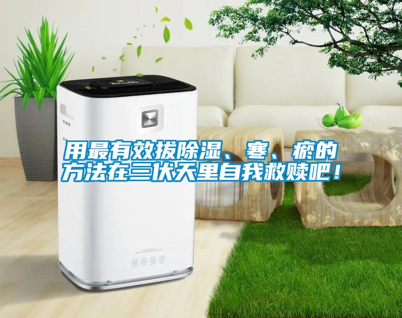 用最有效拔除濕、寒、瘀的方法在三伏天里自我救贖吧！