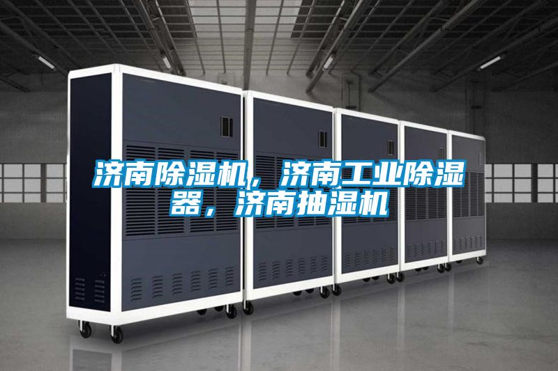 濟南除濕機,濟南工業除濕器,濟南抽濕機