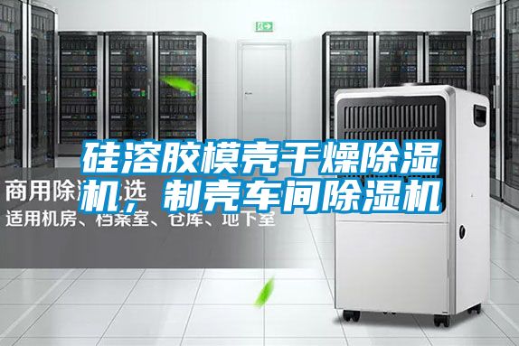 硅溶膠模殼干燥除濕機，制殼車間除濕機