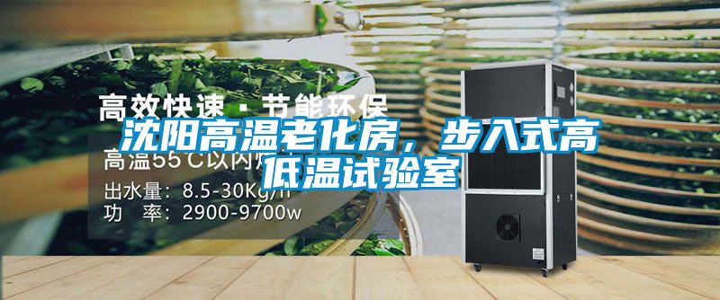 沈陽高溫老化房，步入式高低溫試驗室