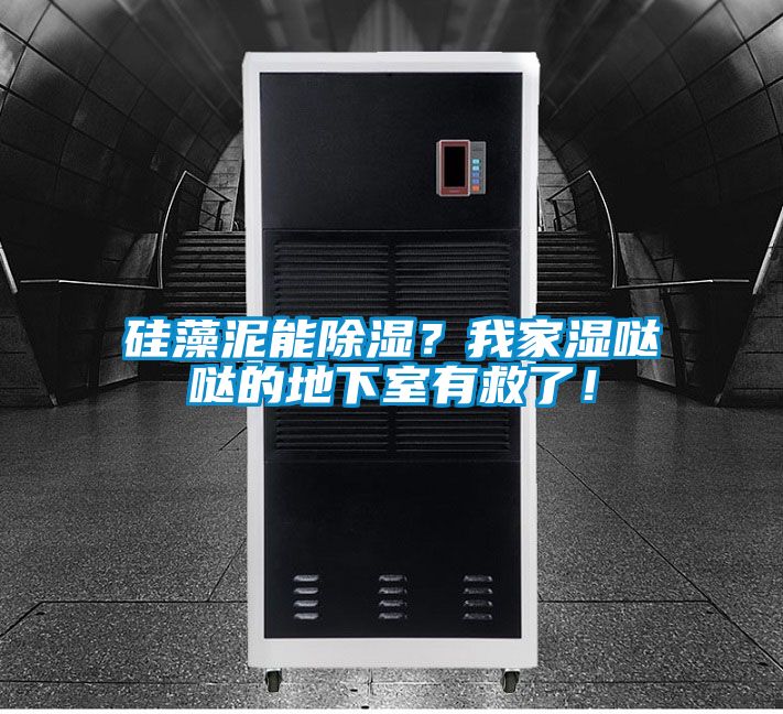 硅藻泥能除濕?我家濕噠噠的地下室有救了!
