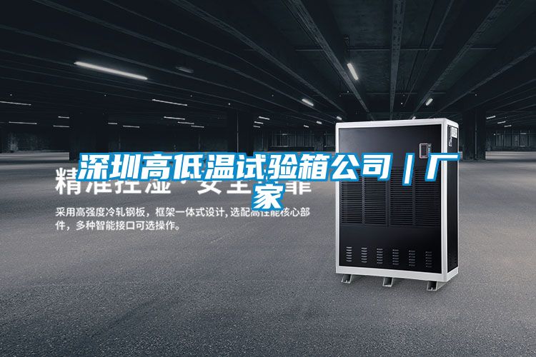 深圳高低溫試驗(yàn)箱公司｜廠家