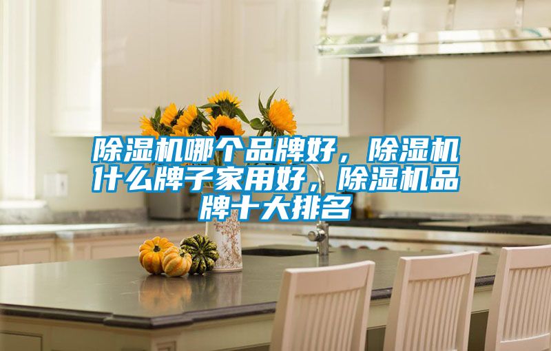 除濕機(jī)哪個品牌好,除濕機(jī)什么牌子家用好,除濕機(jī)品牌十大排名